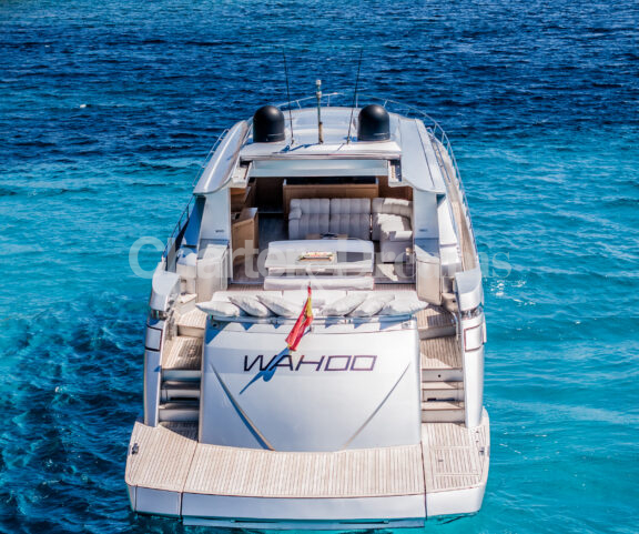 WAHOO gallery image